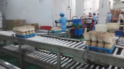 市投促局赴上?？疾烊〉梅e極成果，四項目達成技術咨詢共識